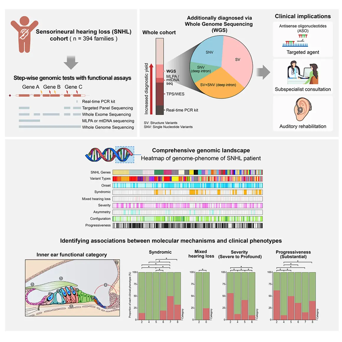 Comprehensive Genetic Profiling overview
